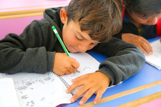 Máster en Neuropsicología y Educación