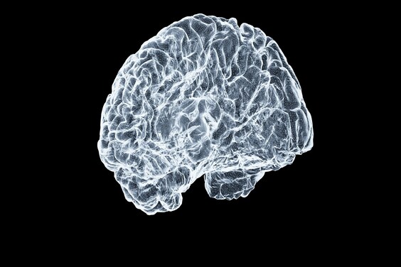 Máster en Neuropsicología Clínica